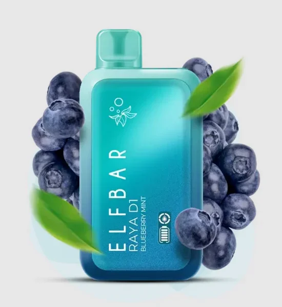 Elf Bar 13000 Puff Blueberry Mint